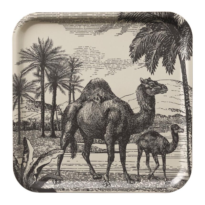 Vassoio Dune Argile 38x38 100% Legno, , hi-res image number 0