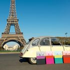 Strofinaccio Paris Lumi&egrave;re Cotone, , hi-res image number 4