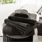 Ospite Palacio Fusain 30x50 100% cotone, , hi-res image number 1