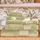 Ospite Caresse Tilleul 30x50 100% cotone, , hi-res image number 0