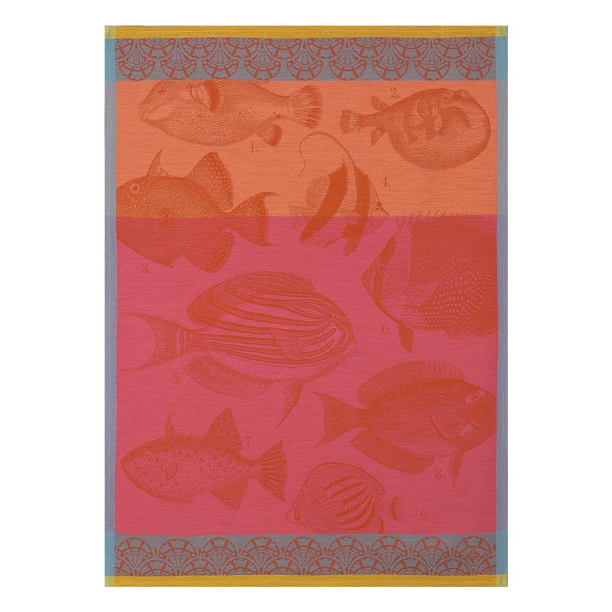 Strofinaccio Moorea Corail 60x80 100% cotone, , hi-res image number 0