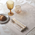 Tovaglietta antimacchia Syracuse Dolce 50x36 100% cotone, , hi-res image number 0