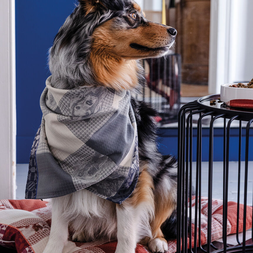 Strofinaccio Truffes Chartreux 60x80 100% cotone, , hi-res image number 2