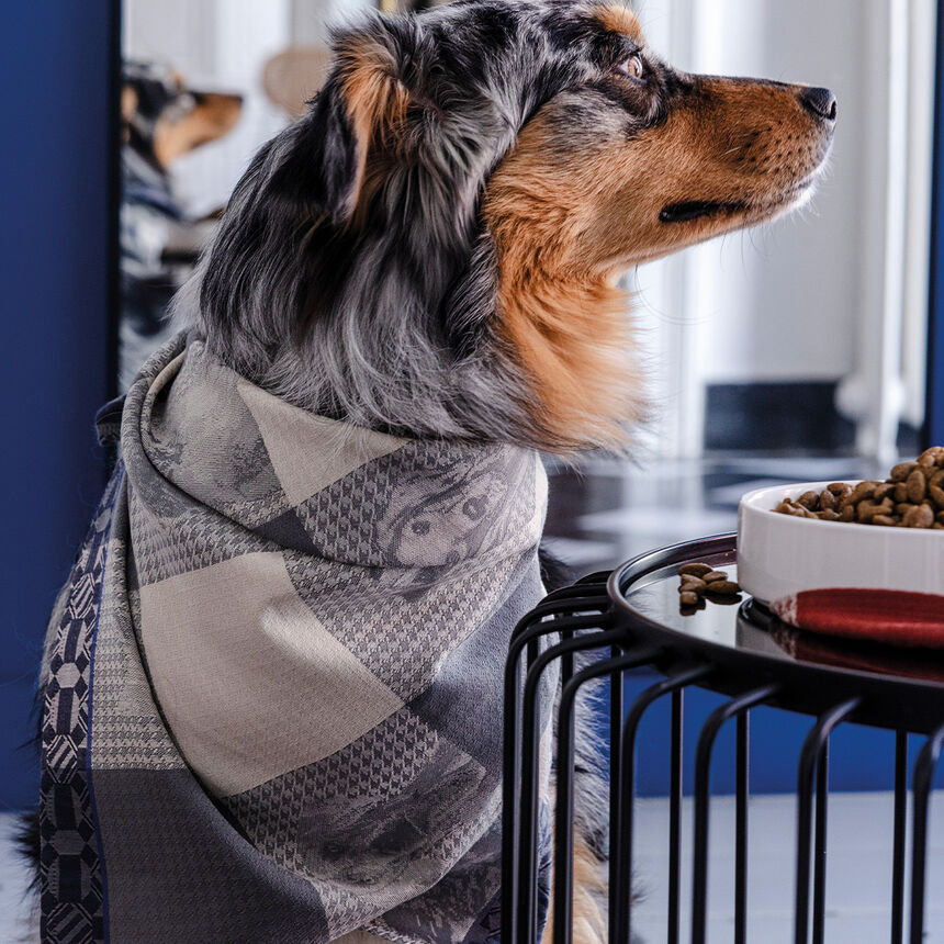 Strofinaccio Truffes Chartreux 60x80 100% cotone, , hi-res image number 1