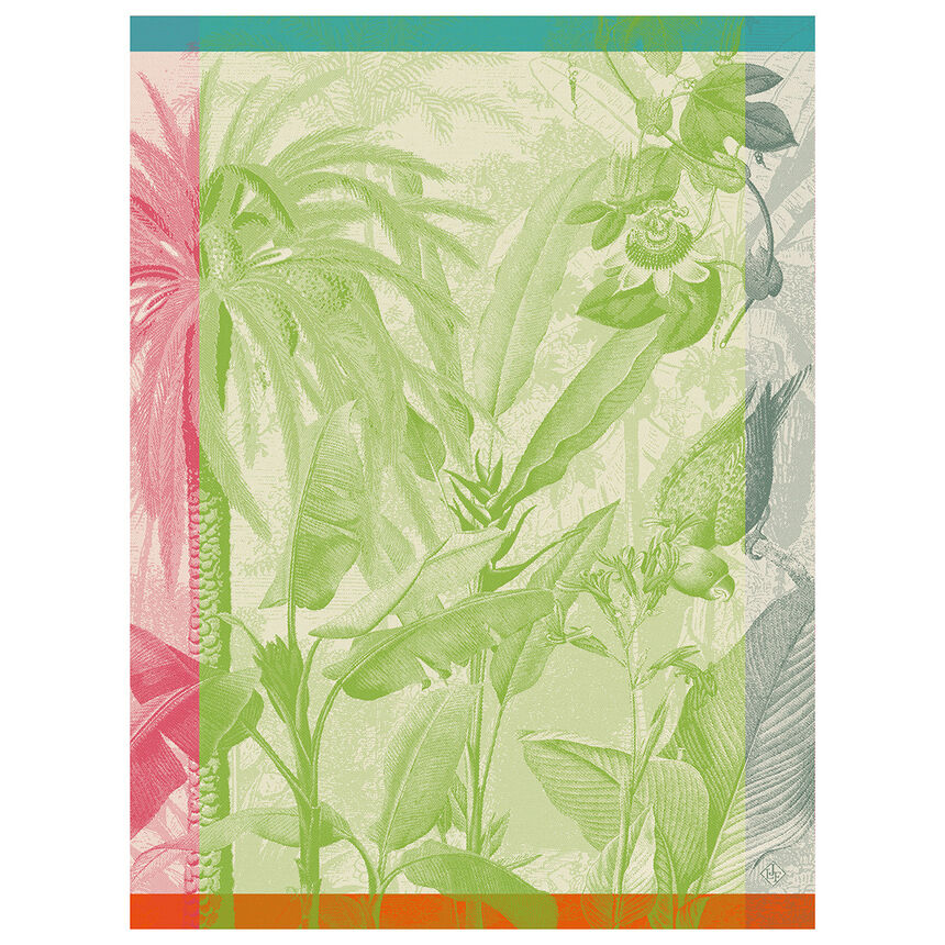 Strofinaccio &Eacute;quateur Perroquet 60x80 100% cotone, , hi-res image number 1