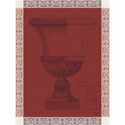 Strofinaccio M&eacute;dicis Cotone