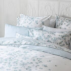 Federe Manuka Ciel 50X75 100% cotone, , hi-res image number 4