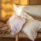 Federa decorativa Eclat Amande 30X41 100% cotone, , hi-res image number 1