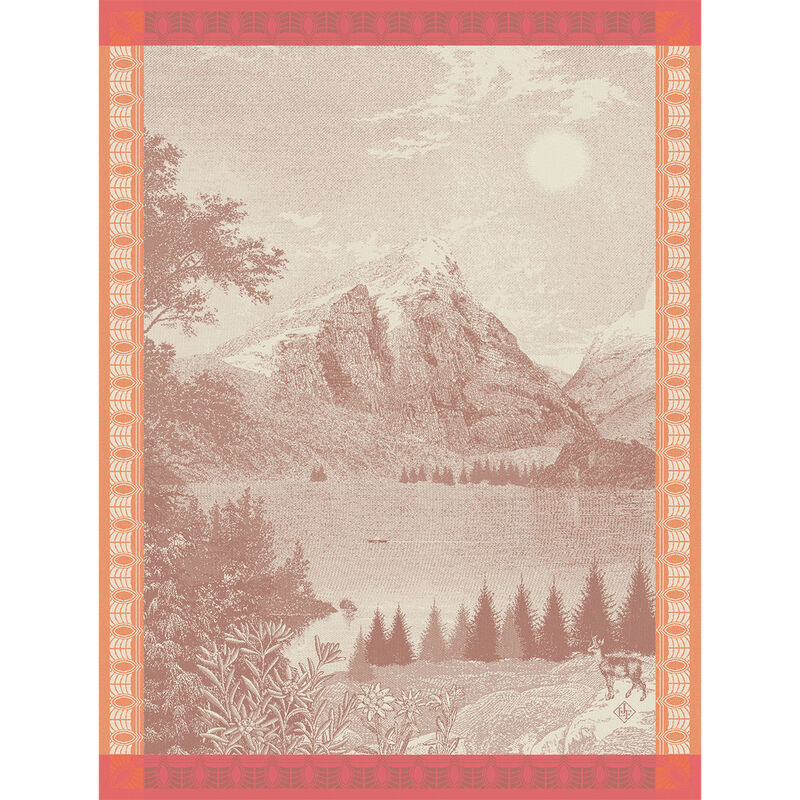 Strofinaccio Altitude Chamois 60x80 100% cotone, , hi-res image number 0