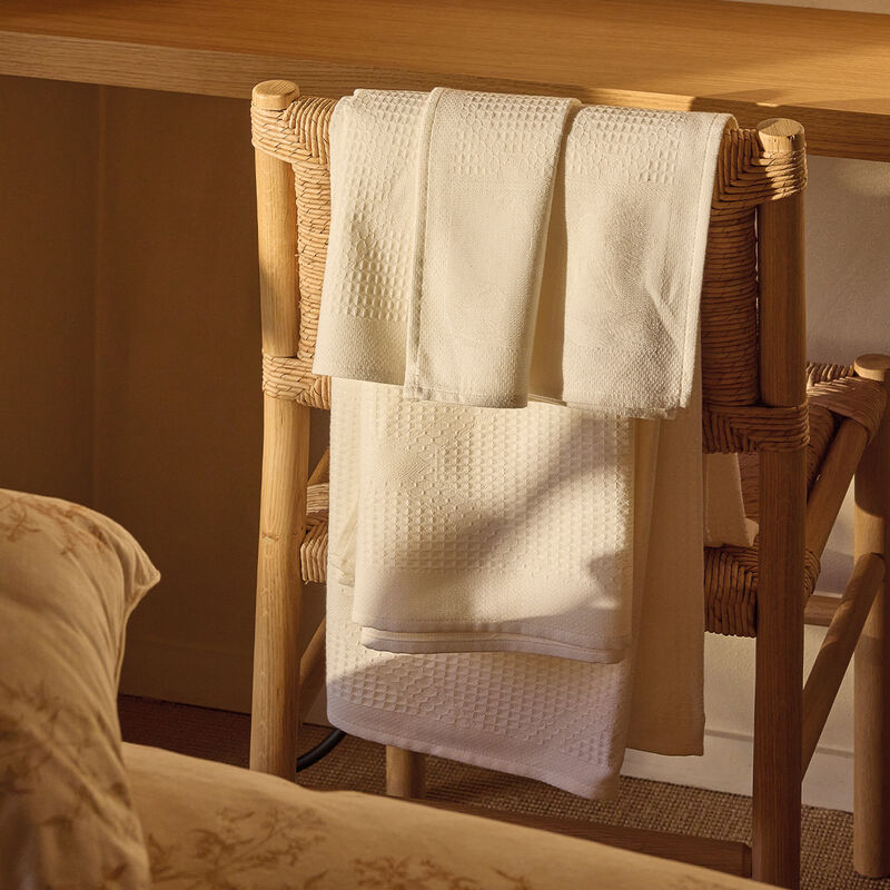 Collezione Pois de senteur cotone, , hi-res image number 2