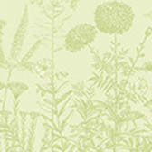 Strofinaccio Blooming Cotone, , swatch