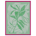 Strofinaccio Octobre Rose  Cotone, , swatch