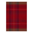 Asciugamano Hiver en Ecosse Cotone, , swatch