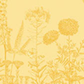 Strofinaccio Blooming Cotone, , swatch