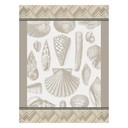Strofinaccio Coquillage Cotone, , swatch